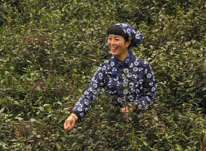 罪恶之城